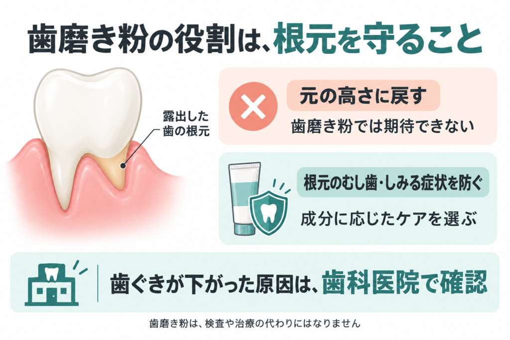 歯磨き粉で下がった歯ぐきを元の高さに戻すことは期待できない。露出した根元のむし歯やしみる症状を防ぐ成分を選び、歯ぐきが下がった原因は歯科医院で確認する。