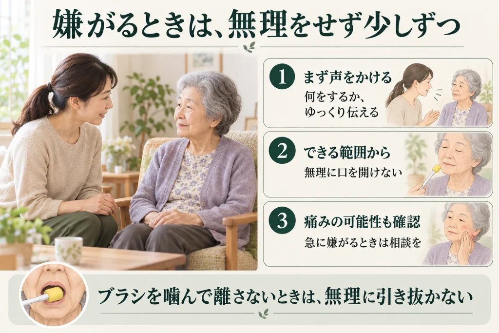 ケアを嫌がるときはゆっくり声をかけ、無理に口を開けず、できる範囲から進める。急に嫌がる場合は痛みも確認し、ブラシを噛まれても引き抜かない。