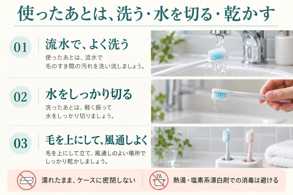 歯ブラシを流水で洗い、水を切り、毛を上にして風通しよく保管する3ステップ。濡れたまま密閉せず、ブラシ同士を離す。