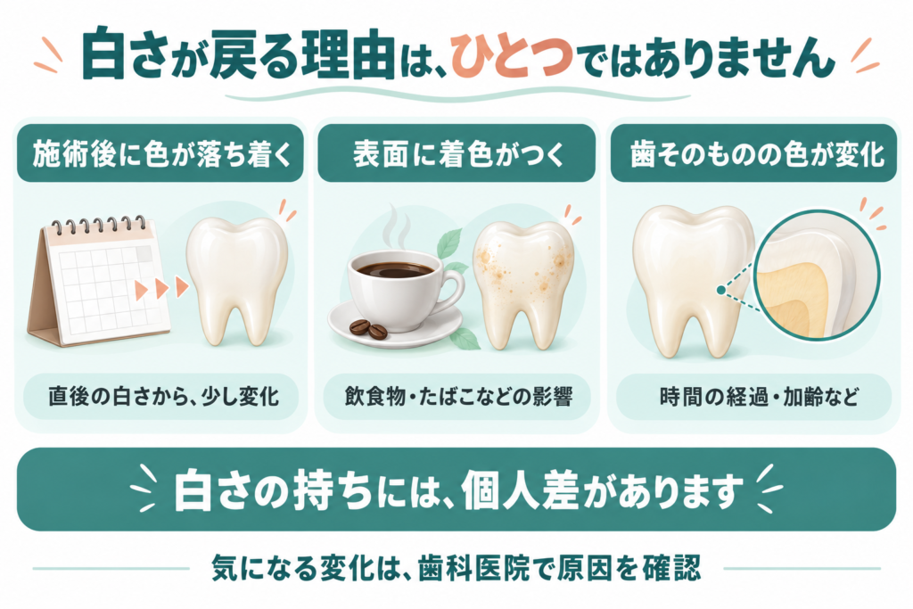 白さが戻ったと感じる理由には、施術直後の色の落ち着き、飲食物やたばこによる表面の着色、時間の経過や加齢による歯そのものの色の変化がある。
